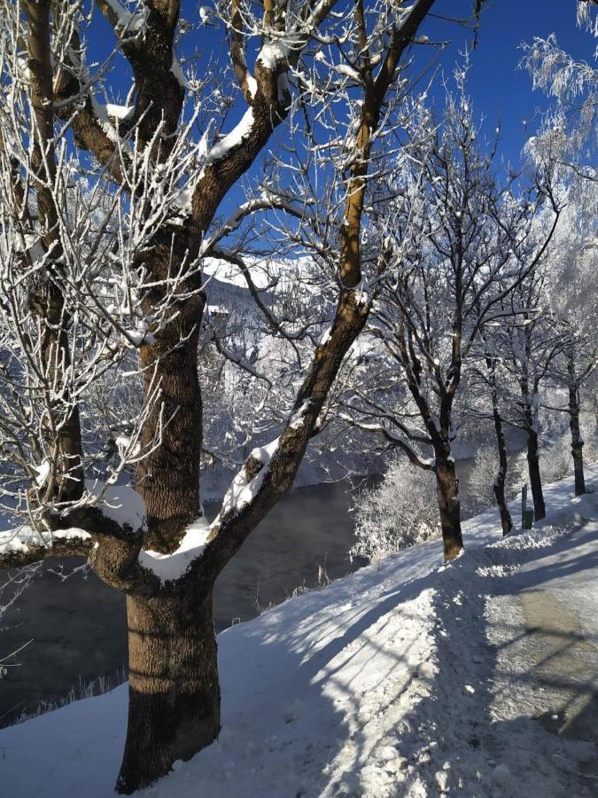 Alpenblick Apartment Gastein - Inklusive Eintritt Alpentherme 배드호프가스타인 외부 사진