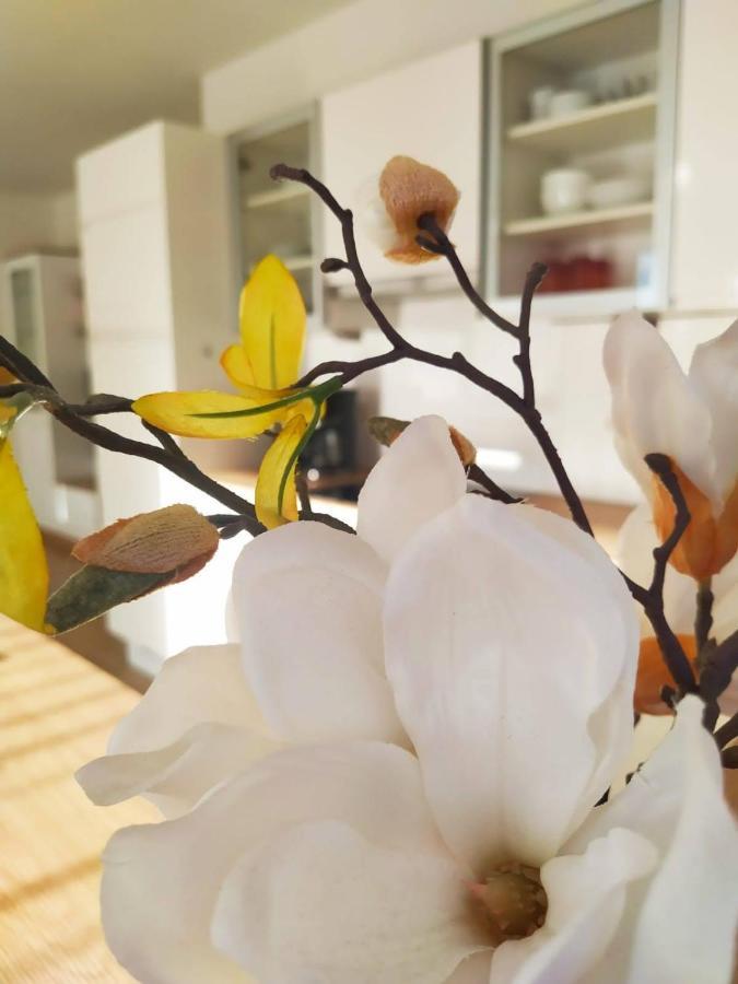 Alpenblick Apartment Gastein - Inklusive Eintritt Alpentherme 배드호프가스타인 외부 사진